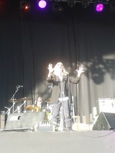 Patti Smith " The sun is not yellow. It is CHICKEN!" "I never did anything perfect...I just fucked-up perfect"
