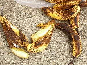 Niam. Delicious rotten banana smell. [iStock photo]